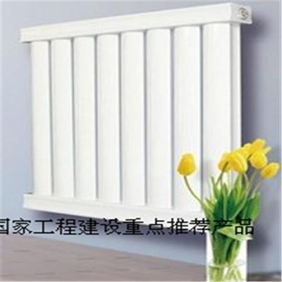 廠家直銷暖貝爾散熱器SCGGZY60/30-300-1.2云梯/工程家庭首選/中國采暖散熱器行業十佳品牌圖片_高清圖_細節圖-臨朐國泰暖通設備 -