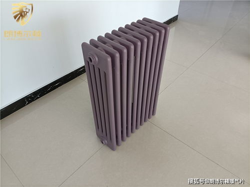 鋼制柱型五柱散熱器 暖氣片 參數 圖片 廠家 型號