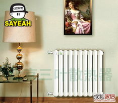 全國十大品牌散熱器北京三葉暖氣真正讓 節能供熱論壇